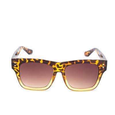 Unisex Retro Square Acetate Sunglasses Wild Cat - Ever Collection NYC